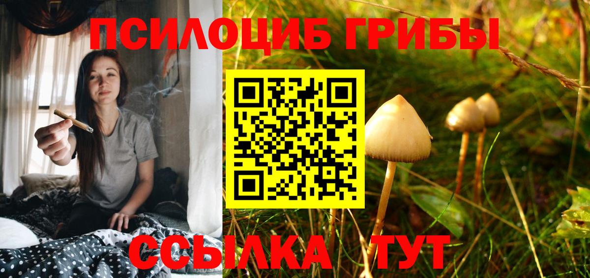 Псилоцибиновые грибы мухоморы Сатка